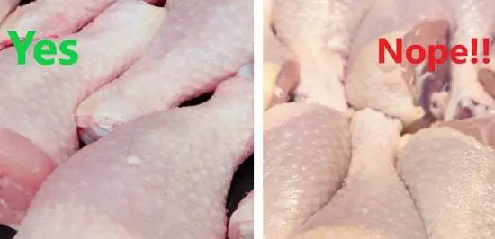 Chicken meat Fresh vs Not Fresh