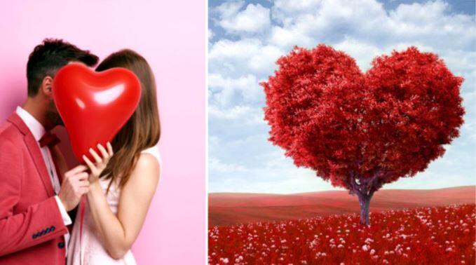 Valentine's day